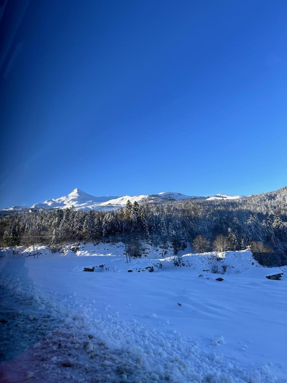 Bielle La Suite Unique - Le Jardin Sur Les Pyrenees- Vue Panoramique Montagne -Jardin Cloture Prive De 100M2-Parking-Linge De Lit Et Serviettes Compris- מראה חיצוני תמונה