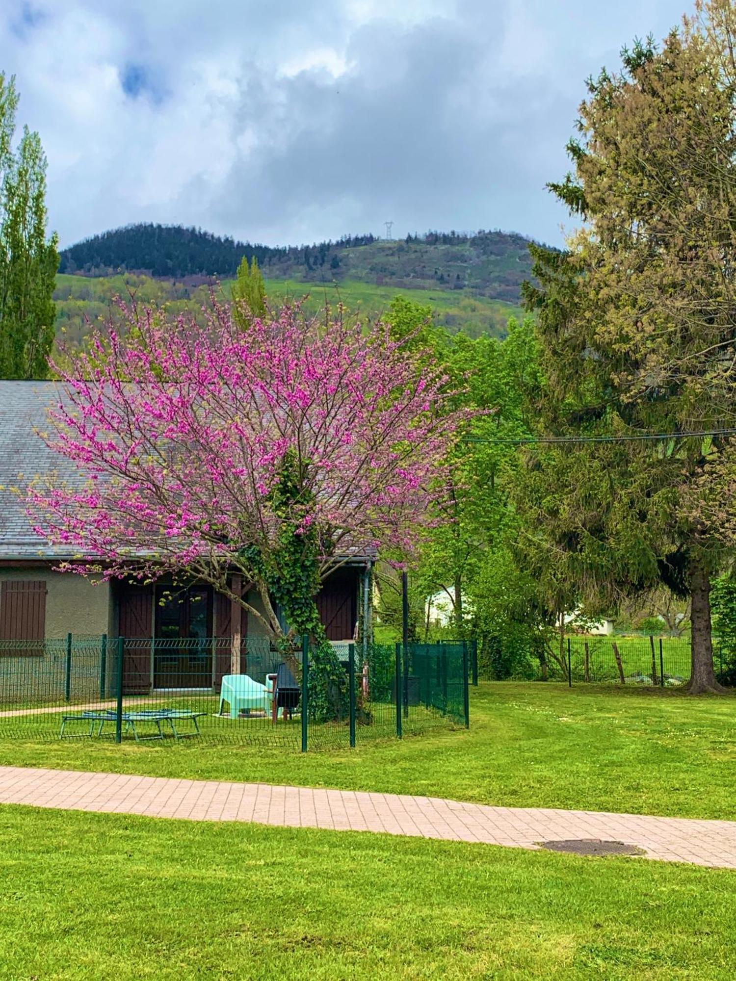 Bielle La Suite Unique - Le Jardin Sur Les Pyrenees- Vue Panoramique Montagne -Jardin Cloture Prive De 100M2-Parking-Linge De Lit Et Serviettes Compris- מראה חיצוני תמונה